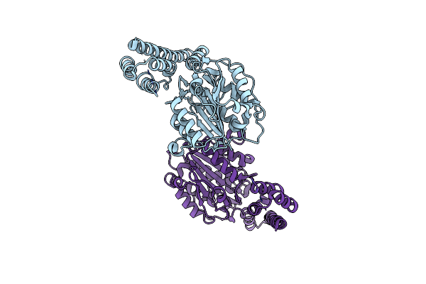 4NOL image