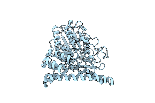 4NOM image