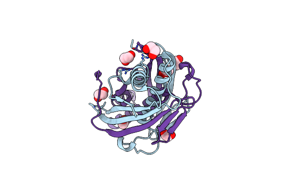 4NOZ image