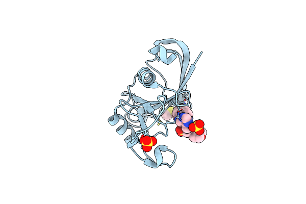 4NP2 image
