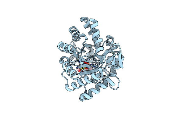 4NP7 image