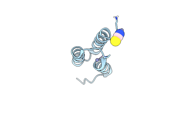 4NPD image