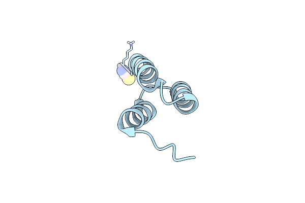 4NPE image