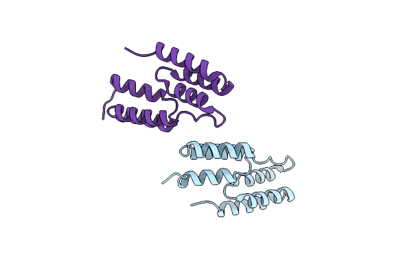 4NPF image