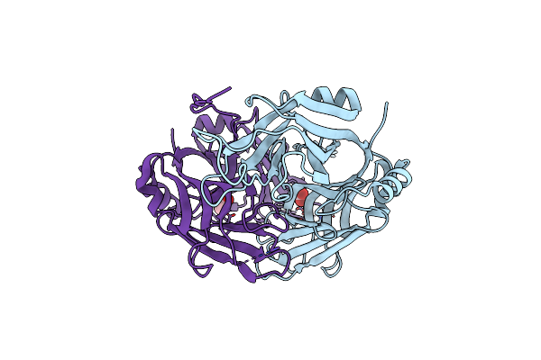 4NPJ image