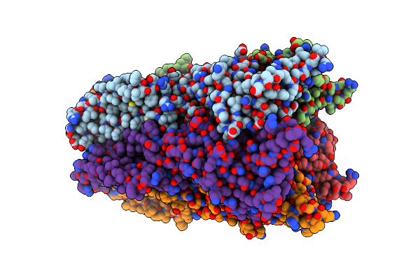 4NPP image