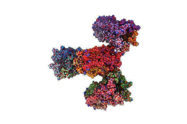 4NPQ image