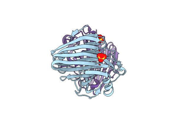 4NPR image