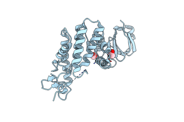 4NPS image