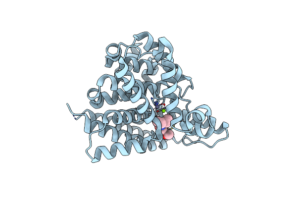 4NPV image