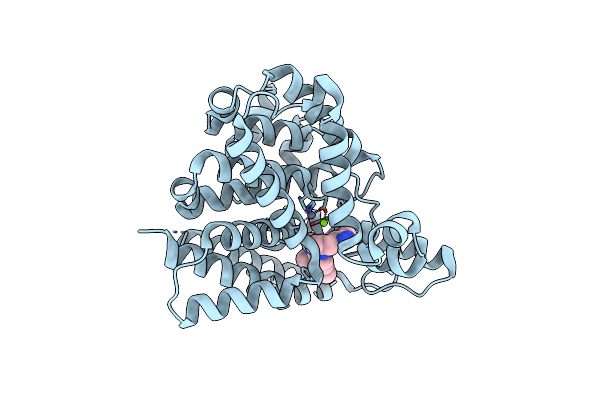 4NPW image