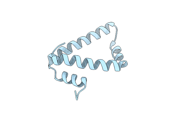 4NPX image