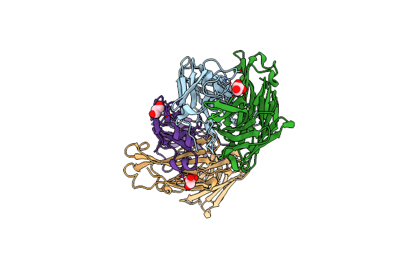 4NPY image