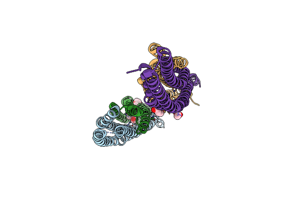 4NQI image