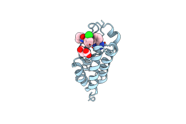 4NQM image