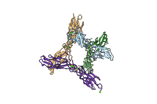 4NQQ image