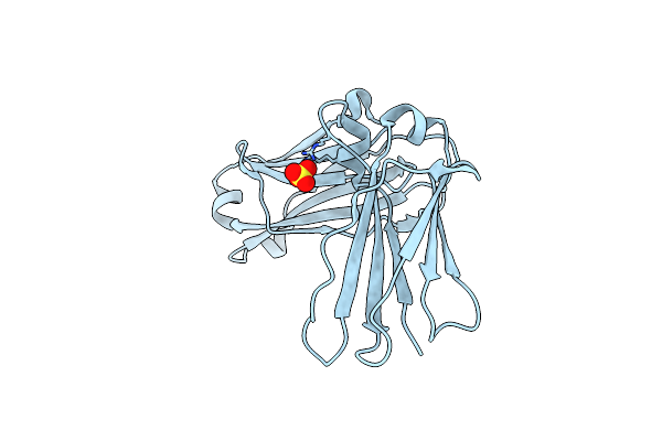 4NQU image
