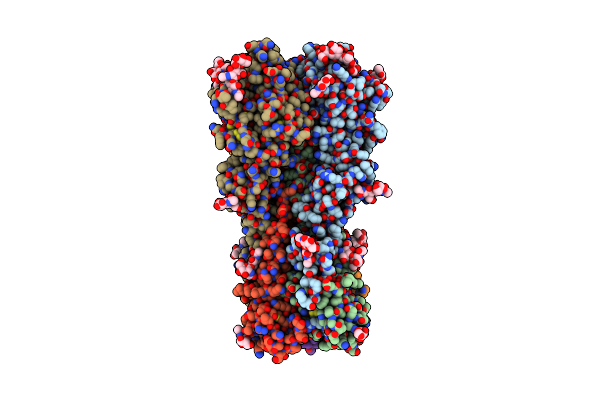 4NRL image