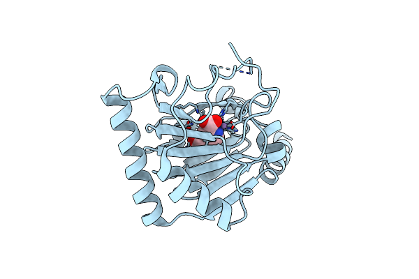 4NRQ image