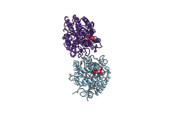 4NRR image