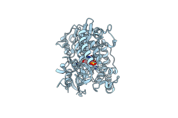 4NRT image