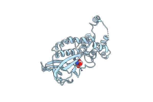 4NRV image