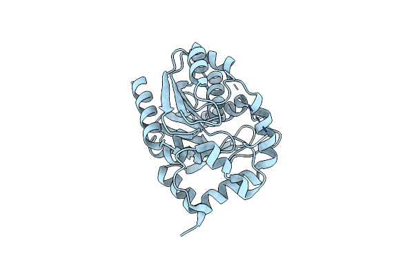 4NS4 image
