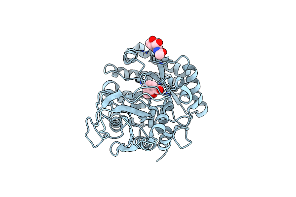 4NSB image