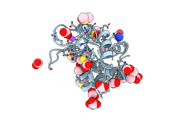 4NSJ image