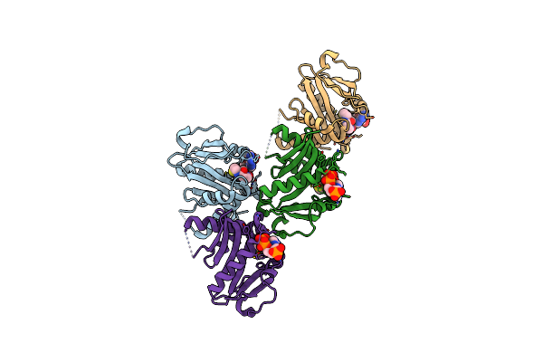 4NSQ image