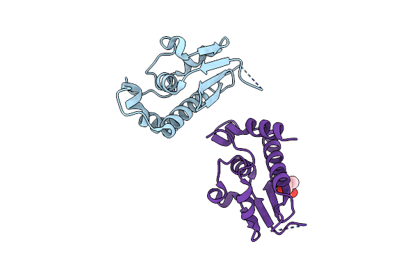 4NSS image
