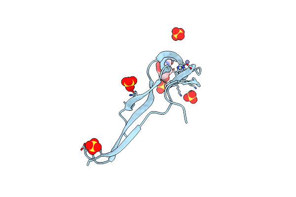 4NT5 image