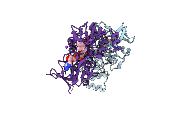 4NTE image