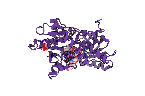 4NU8 image