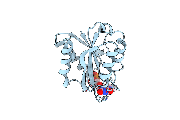 4NUL image