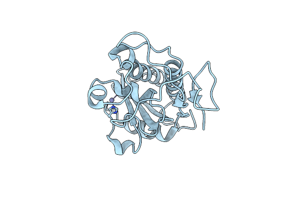 4NUO image