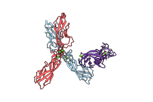 4NUP image