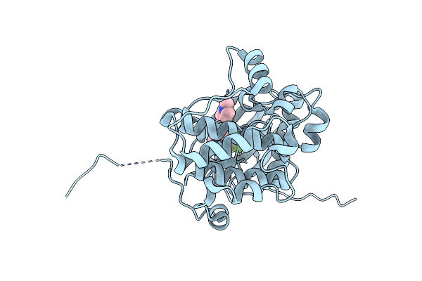 4NUS image