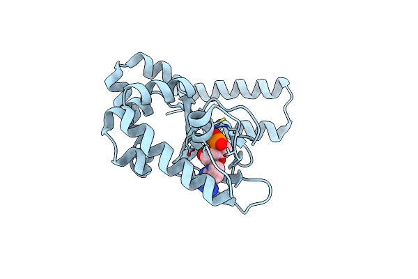 4NVP image