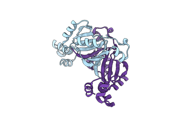 4NVS image