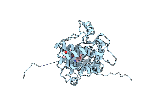 4NW5 image