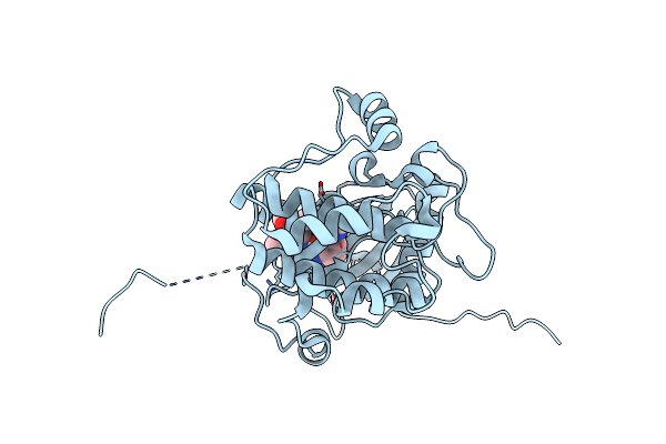 4NW6 image