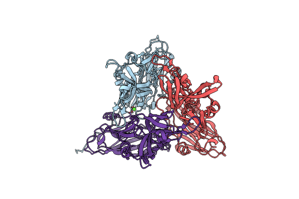 4NWV image