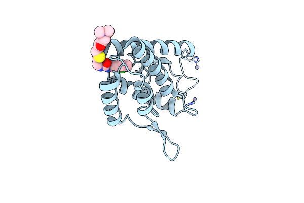 4NX4 image