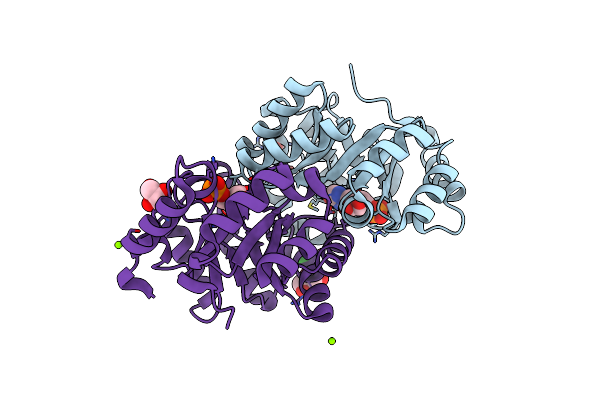 4NX5 image