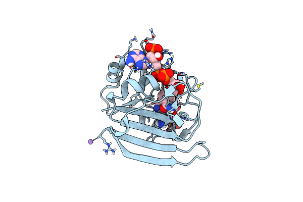 4NX7 image