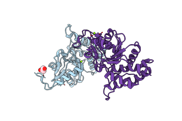 4NX8 image