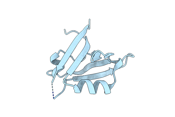 4NXP image