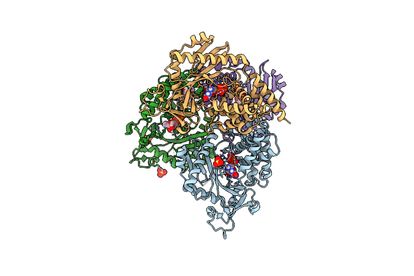 4NXV image