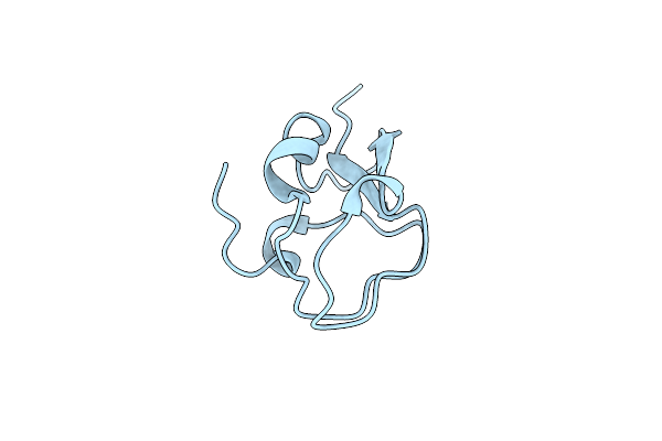 4NY6 image